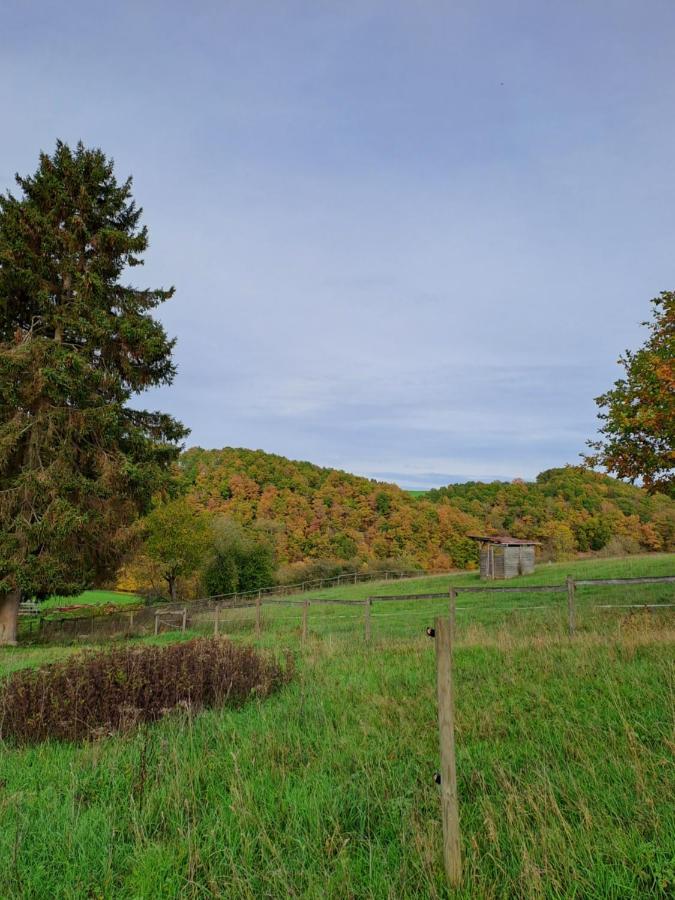 Landhaus Eifel Demerath Exterior foto